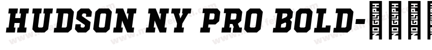 Hudson NY Pro Bold字体转换